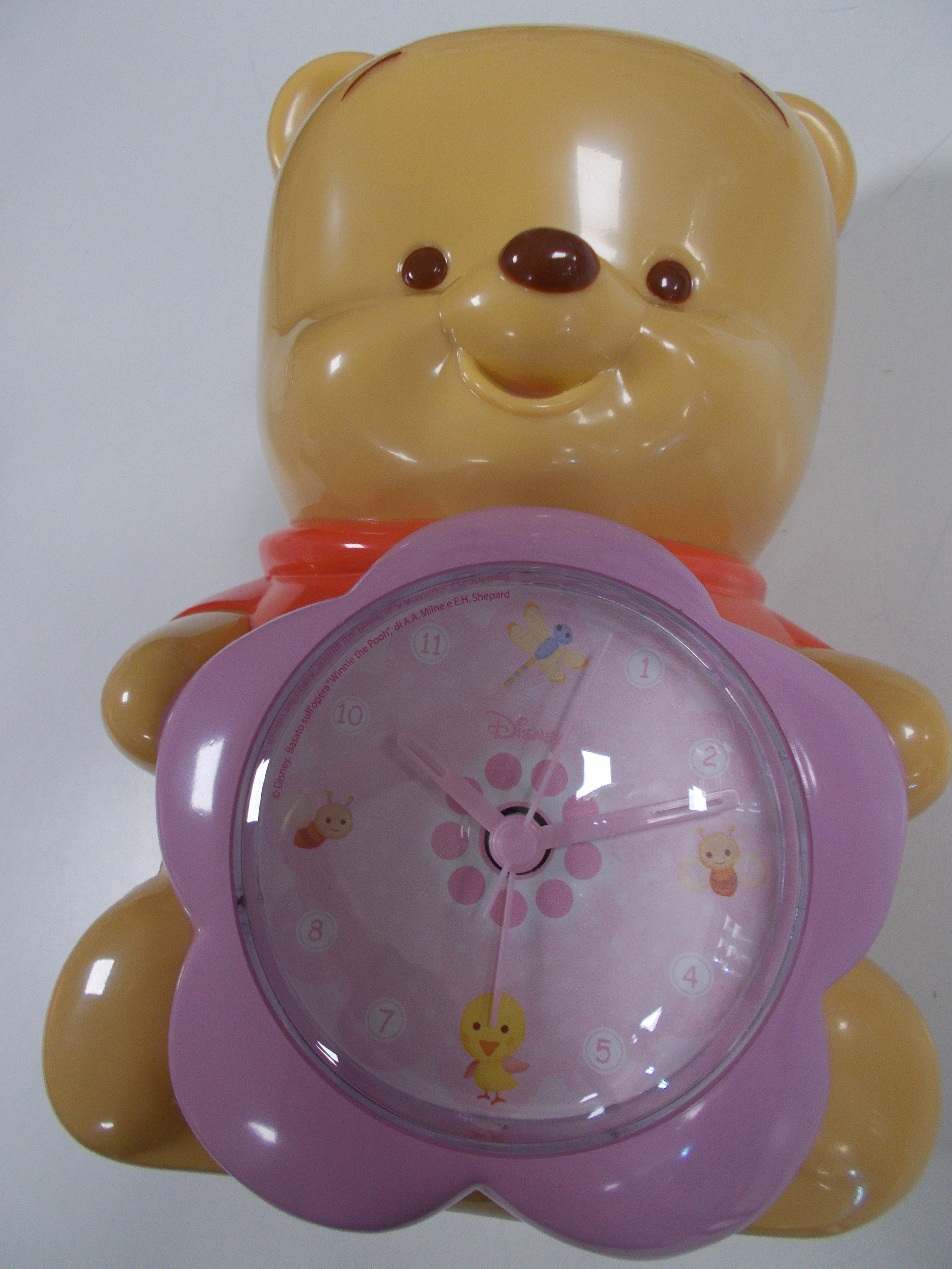 OROLOGIO CAMERETTA La Sanitaria di Barco Mariangela